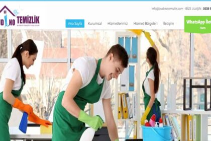 budinotemizlikcom budinotemizlikcom